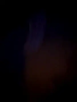 Stripchat Live Sex of 19cmargentum
