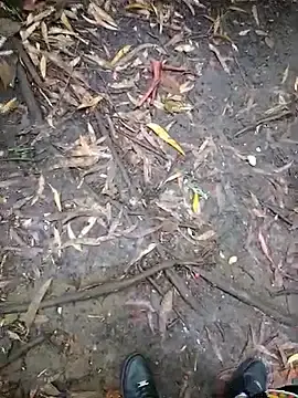 Stripchat Sex Cam of FeloBad