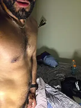 Stripchat Adult Webcams of piggylatino
