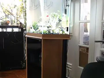 Stripchat Best Webcam of EspanolVato