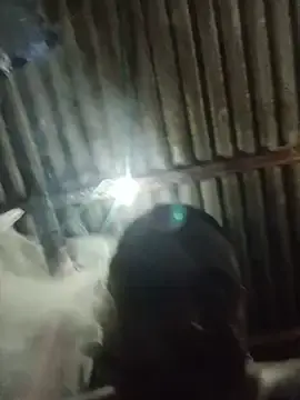 Stripchat Live Sex of BlackBigdogg