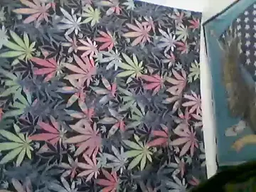 Stripchat Watch Live Sex Cams of libraxxxstudios