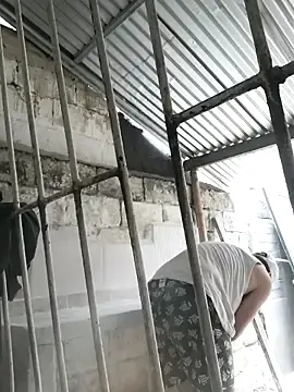 Stripchat Live Porn of GABO_89