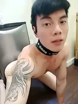 Stripchat Best Webcam of Allen8707