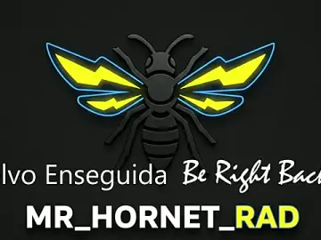 Stripchat Adult Webcam of Mr_Hornet_Rad