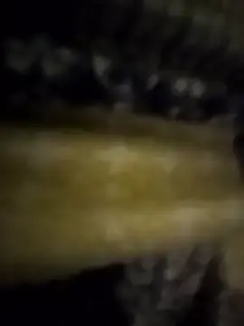 Stripchat Live Sex Cam of jossehh
