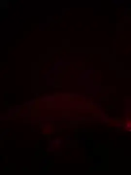 Stripchat Sex Cam of shark822