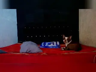 Xlovecam Private Sex Chat of ZaneMaverick